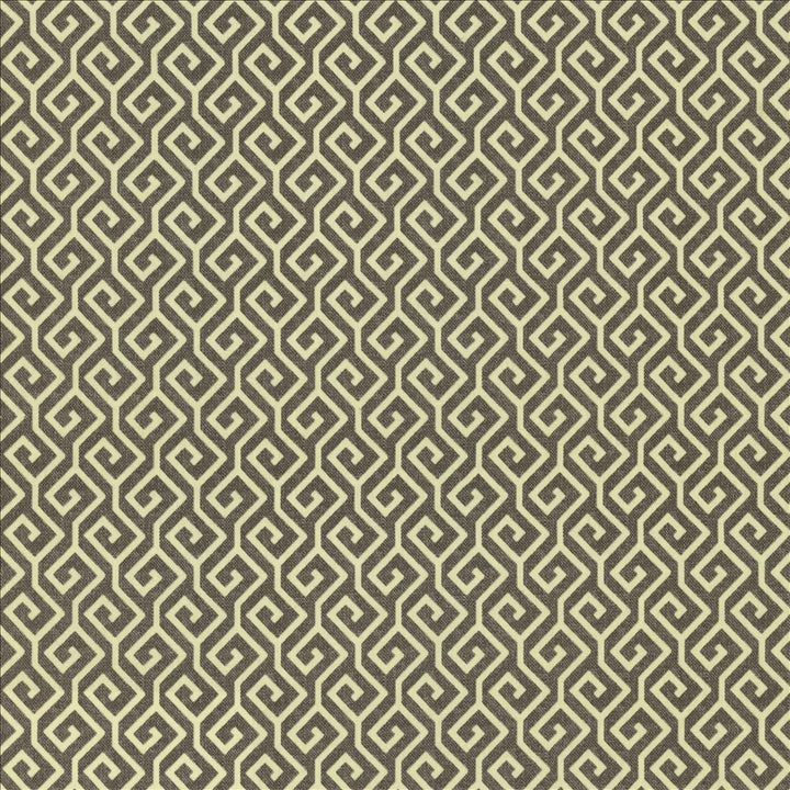 Nanping Gunmetal by Kasmir Fabric 5123 100% Cotton
 TURKMENISTAN </p><p>Repeat: Horizontal: 1 6/8 inches and Vertical: 1 6/8 inches 53 - Fabric Carolina -