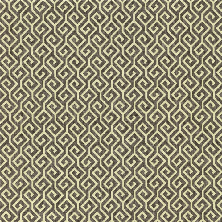 Nanping Gunmetal by Kasmir Fabric 5123 100% Cotton TURKMENISTAN 15,000 Wyzenbeek Double Rubs Horizontal: 1 6/8 inches and Vertical: 1 6/8 inches 54 - Fabric Carolina -
