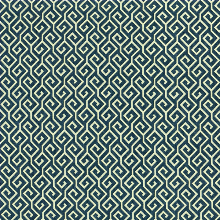 Nanping Slate by Kasmir Fabric 5125 100% Cotton
 TURKMENISTAN 15,000 Wyzenbeek Double Rubs Horizontal: 1 6/8 inches and Vertical: 1 6/8 inches 54 - Fabric Carolina -