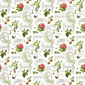 Nature Walk Limestone by Kasmir Fabric