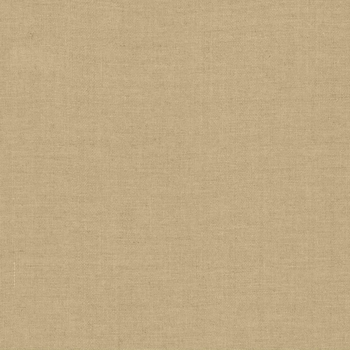 Naveen Natural by Kasmir Fabric 1459 100% Linen
 POLAND </p><p>Repeat: Horizontal: N/A and Vertical: N/A 55 - Fabric Carolina -