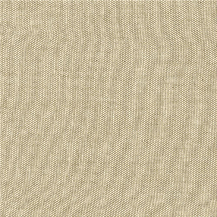 Naveen Oatmeal by Kasmir Fabric 1459 100% Linen
 POLAND </p><p>Repeat: Horizontal: N/A and Vertical: N/A 55 - Fabric Carolina -