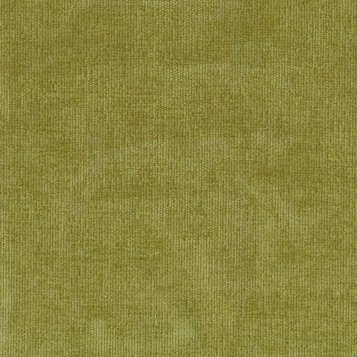 Nebo Basil by Kasmir Fabric 1407 CZECH REPUBLIC 50,000 Wyzenbeek Double Rubs H: N/A, V:N/A 57 - Fabric Carolina - Kasmir