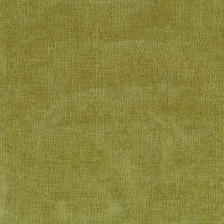 Nebo Basil by Kasmir Fabric 1407 90% Polyester
7% Spandex
3% Nylon
 CZECH REPUBLIC 50,000 Wyzenbeek Double Rubs </p><p>Repeat: Horizontal: N/A and Vertical: N/A 57 - Fabric Carolina -