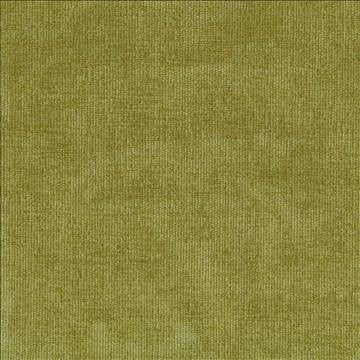 Nebo Basil by Kasmir Fabric 1407 90% Polyester 7% Spandex 3% Nylon CZECH REPUBLIC 50,000 Wyzenbeek Double Rubs H: N/A, V: N/A 57 - Fabric Carolina - Kasmir