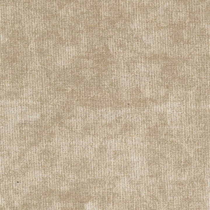 Nebo Bisque by Kasmir Fabric 1407 CZECH REPUBLIC 50,000 Wyzenbeek Double Rubs H: N/A, V:N/A 57 - Fabric Carolina - Kasmir