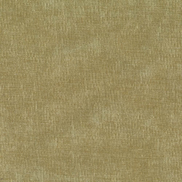 Nebo Grass by Kasmir Fabric 1407 90% Polyester
7% Spandex
3% Nylon
 CZECH REPUBLIC 50,000 Wyzenbeek Double Rubs </p><p>Repeat: Horizontal: N/A and Vertical: N/A 57 - Fabric Carolina -