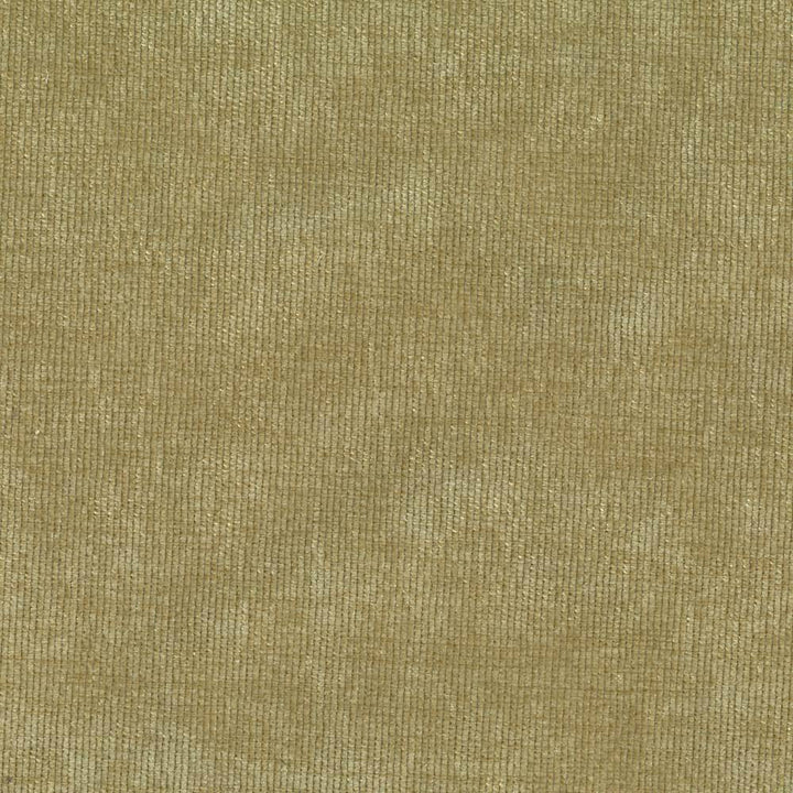 Nebo Grass by Kasmir Fabric 1407 CZECH REPUBLIC 50,000 Wyzenbeek Double Rubs H: N/A, V:N/A 57 - Fabric Carolina - Kasmir
