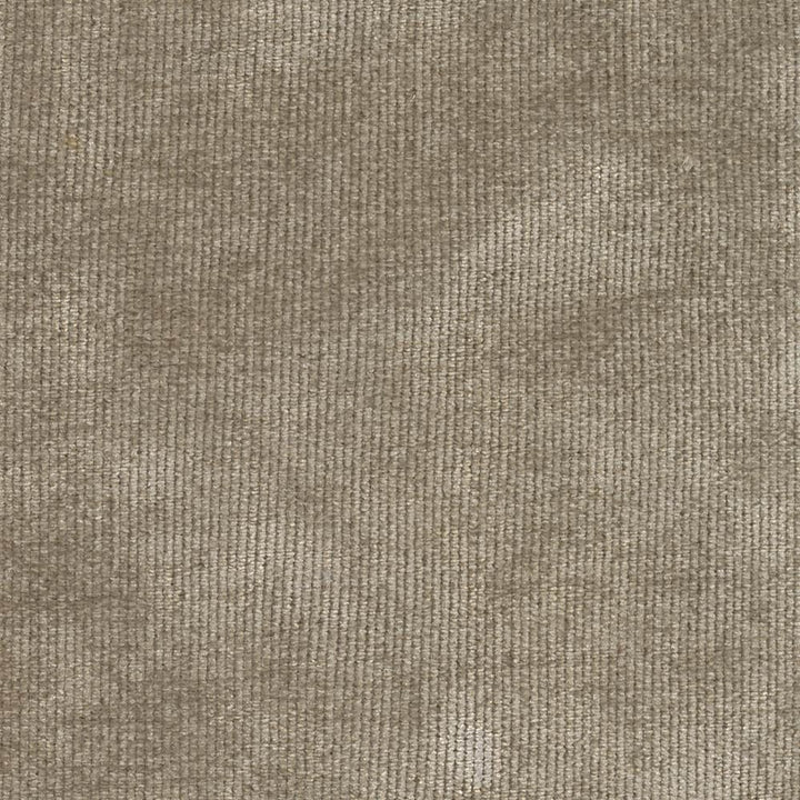 Nebo Quail by Kasmir Fabric 1407 90% Polyester
7% Spandex
3% Nylon
 CZECH REPUBLIC </p><p>Repeat: Horizontal: N/A and Vertical: N/A 57 - Fabric Carolina -