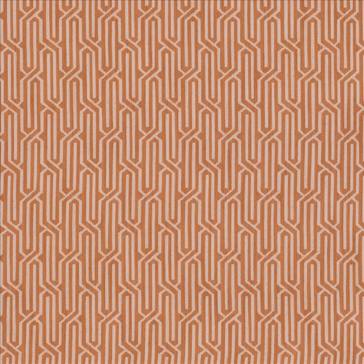 Neighborhood Bellini by Kasmir Fabric 5146 68% Rayon 32% Polyester USA 15,000 Wyzenbeek Double Rubs Horizontal: 2 6/8 inches and Vertical: 1 6/8 inches 54 - Fabric Carolina -