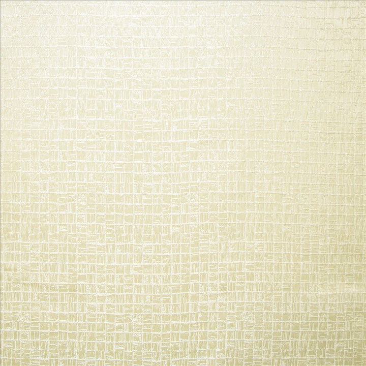Nemours Linen by Kasmir Fabric 5147 100% Polyester
 INDIA Not Tested Horizontal: 3/8 inches and Vertical: 3/8 inches 54 - Fabric Carolina -