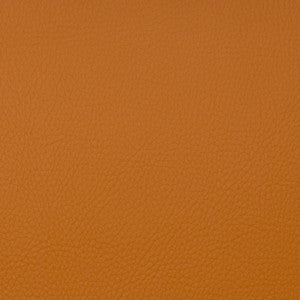 Neptune Spice by Europatex Fabric