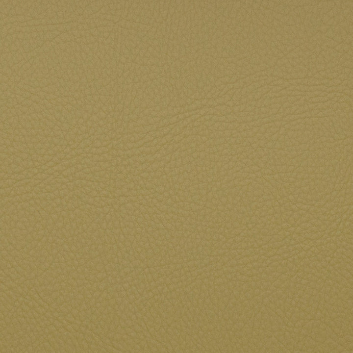 Neptune Aloe by Europatex Designer Fabric Neptune Surface: 100% PVC (Phthalate Free) Backing: 100% Polyester 0.00" 54.00 inches - Swanky Fabrics -