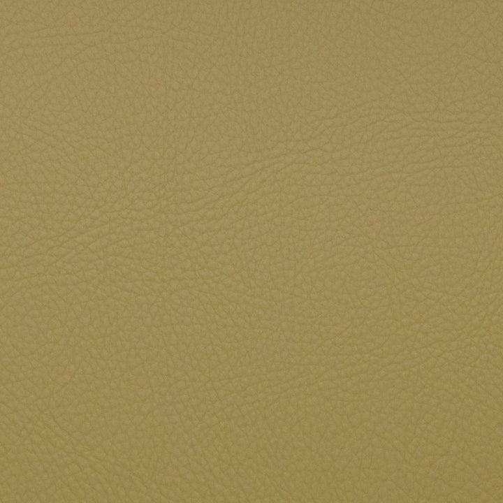 Neptune Aloe by Europatex Fabric Neptune Surface: 100% PVC (Phthalate Free) Backing: 100% Polyester 0.00" 54.00 inches - Fabric Carolina -