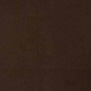 Kravet Smart Newt-66 by Kravet Smart Fabric