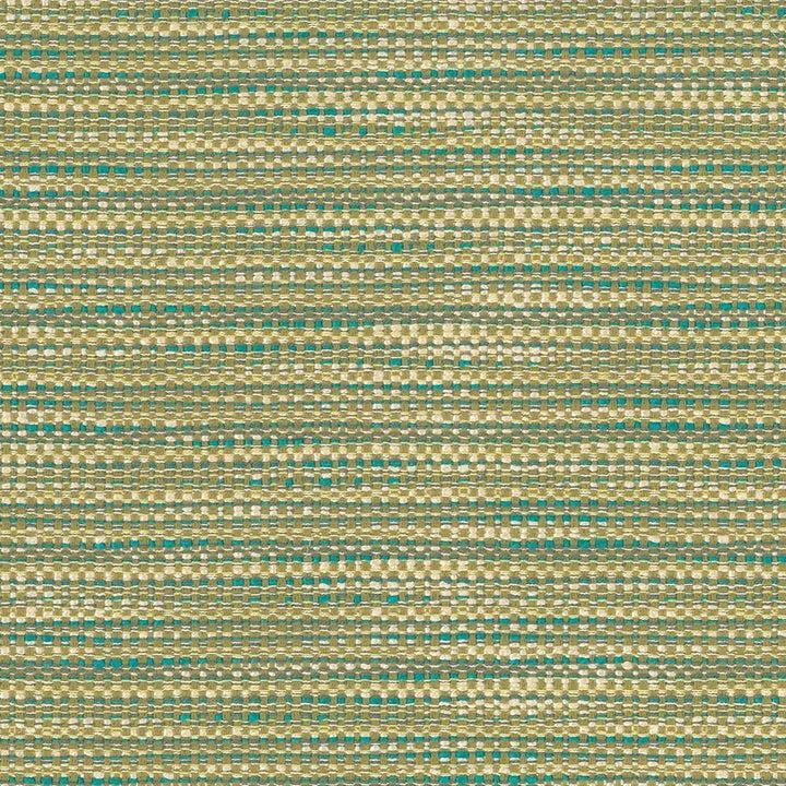 Neyland Tweed Jade by Kasmir Fabric 1442 60% Polyester
40% Rayon
 CHINA 36,000 Wyzenbeek Double Rubs Horizontal: 2/8 inches and Vertical: 1 4/8 inches 56 - Fabric Carolina -