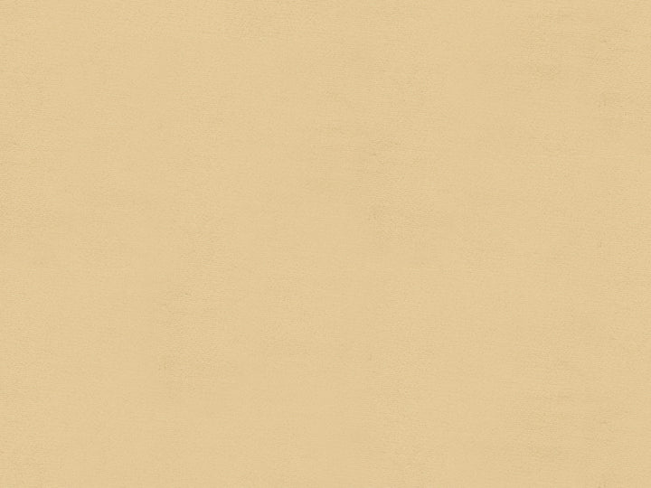 Windsor Oyster by Lee Jofa Fabric