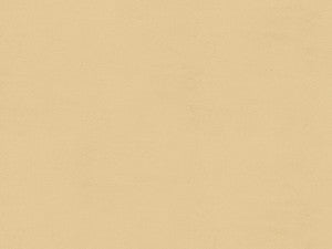 Windsor Oyster by Lee Jofa Fabric