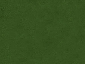 Windsor Cossack Green by Lee Jofa Fabric