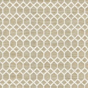 Nicety Natural by Kasmir Fabric