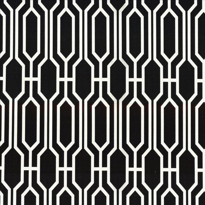 Nickerson Onyx by Kasmir Fabric 5084 100% Cotton
 USA </p><p>Repeat: Horizontal: 3 3/8 inches and Vertical: 9 inches 54 - Fabric Carolina -