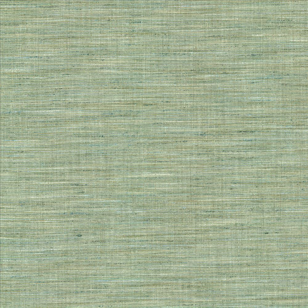 Nikita Aquamarine by Kasmir Fabric 1461 100% Polyester
 INDIA 30,000 Wyzenbeek Double Rubs </p><p>Repeat: Horizontal: N/A and Vertical: N/A 54 - Fabric Carolina -