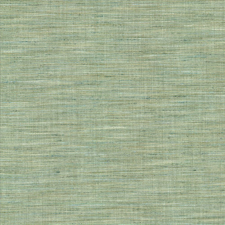 Nikita Aquamarine by Kasmir Fabric 1461 100% Polyester
 INDIA 30,000 Wyzenbeek Double Rubs </p><p>Repeat: Horizontal: N/A and Vertical: N/A 54 - Fabric Carolina -