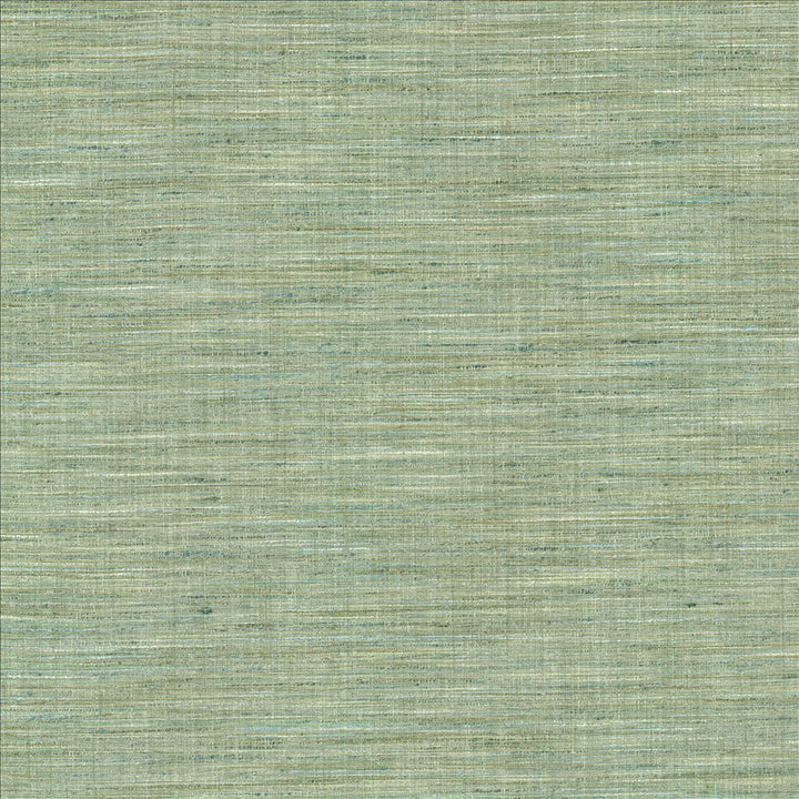 Nikita Aquamarine by Kasmir Fabric 1461 100% Polyester
 INDIA 30,000 Wyzenbeek Double Rubs Horizontal: N/A and Vertical: N/A 54 - Fabric Carolina -