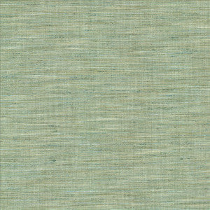 Nikita Aquamarine by Kasmir Fabric