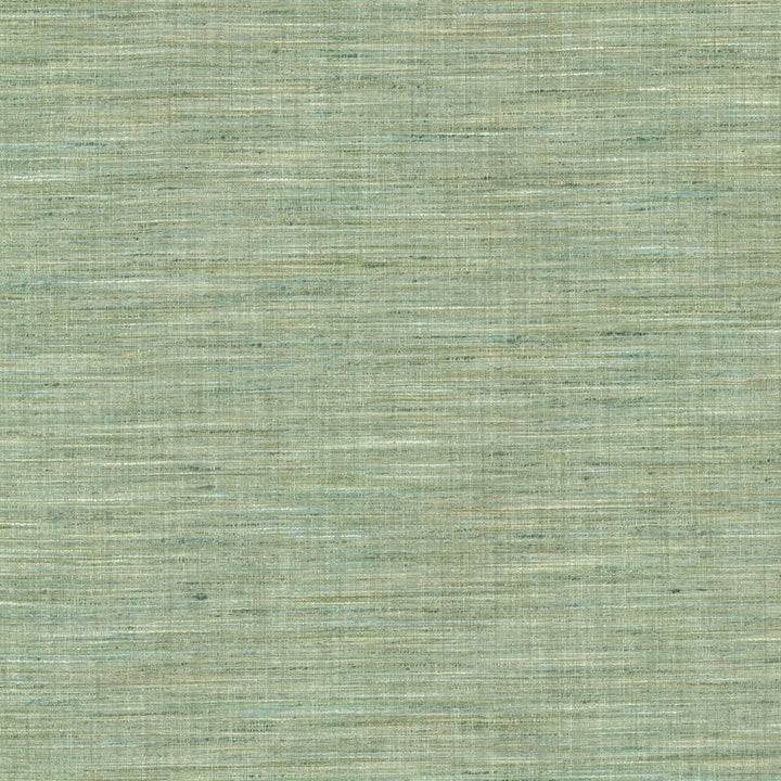 Nikita Aquamarine by Kasmir Fabric 1461 100% Polyester
 INDIA </p><p>Repeat: Horizontal: N/A and Vertical: N/A 54 - Fabric Carolina -