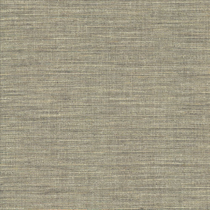 Nikita Cloud by Kasmir Fabric 1461 100% Polyester
 INDIA 30,000 Wyzenbeek Double Rubs </p><p>Repeat: Horizontal: N/A and Vertical: N/A 54 - Fabric Carolina -
