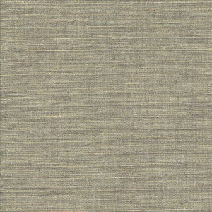 Nikita Cloud by Kasmir Fabric