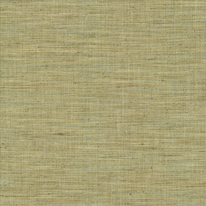 Nikita Peapod by Kasmir Fabric 1461 100% Polyester
 INDIA </p><p>Repeat: Horizontal: N/A and Vertical: N/A 54 - Fabric Carolina -
