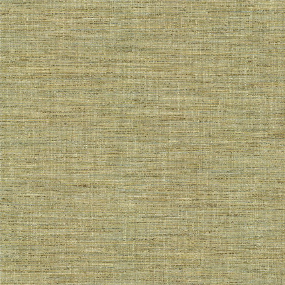 Nikita Peapod by Kasmir Fabric 1461 100% Polyester
 INDIA 30,000 Wyzenbeek Double Rubs </p><p>Repeat: Horizontal: N/A and Vertical: N/A 54 - Fabric Carolina -