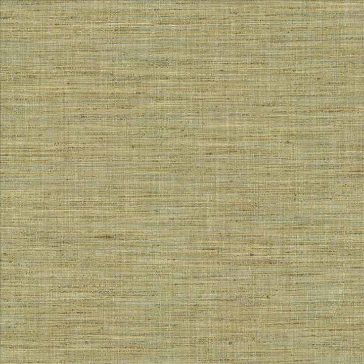 Nikita Peapod by Kasmir Fabric 1461 100% Polyester
 INDIA 30,000 Wyzenbeek Double Rubs </p><p>Repeat: Horizontal: N/A and Vertical: N/A 54 - Fabric Carolina -