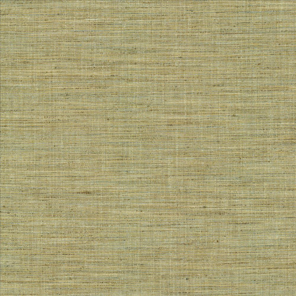 Nikita Peapod by Kasmir Fabric 1461 100% Polyester
 INDIA </p><p>Repeat: Horizontal: N/A and Vertical: N/A 54 - Fabric Carolina -