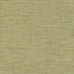 Nikita Peapod by Kasmir Fabric