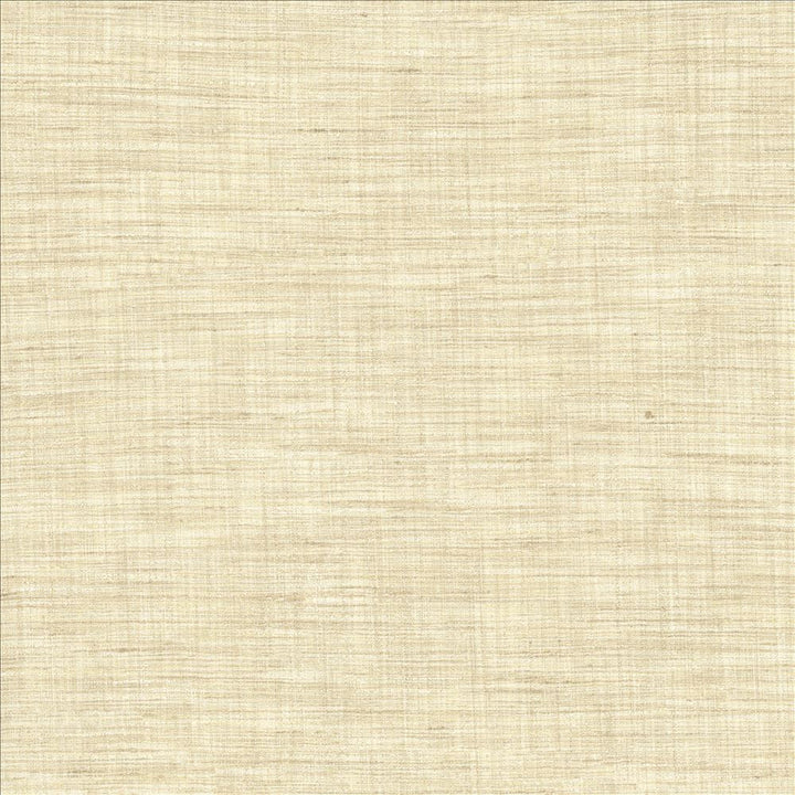 Nikita Vanilla by Kasmir Fabric 1461 100% Polyester
 INDIA 30,000 Wyzenbeek Double Rubs Horizontal: N/A and Vertical: N/A 54 - Fabric Carolina -
