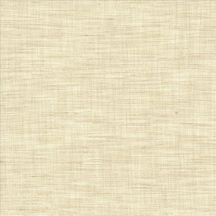 Nikita Vanilla by Kasmir Fabric 1461 100% Polyester
 INDIA 30,000 Wyzenbeek Double Rubs </p><p>Repeat: Horizontal: N/A and Vertical: N/A 54 - Fabric Carolina -