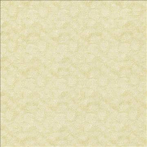 Nimbus Natural by Kasmir Fabric