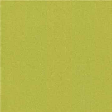 Nonchalant Lime by Kasmir Fabric 5075 100% Cotton TURKEY Not Tested H: N/A, V: N/A 54 - 55 - Fabric Carolina - Kasmir