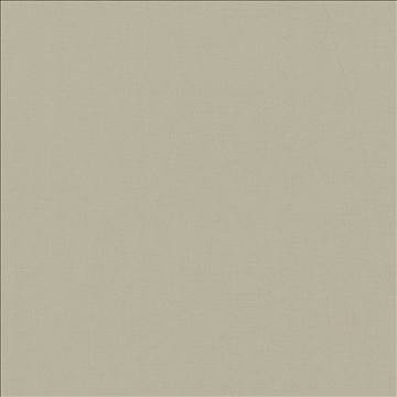 Nonchalant Mink by Kasmir Fabric 5075 100% Cotton TURKEY Not Tested H: N/A, V: N/A 54 - 55 - Fabric Carolina - Kasmir