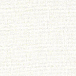 Nonchalant Oyster by Kasmir Fabric
