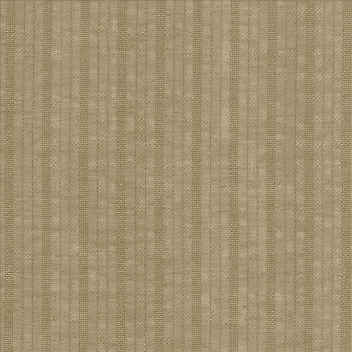 Northern Light Fossil by Kasmir Fabric 5108 100% Polyester TURKEY Not Tested Horizontal: 1 6/8 inches and Vertical: 0 Inches 118 - 122 - Fabric Carolina -