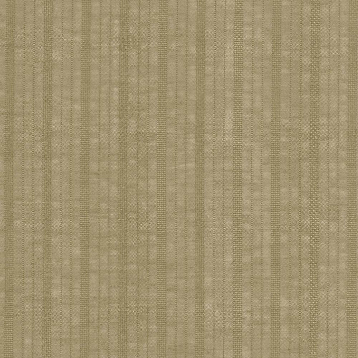 Northern Light Fossil by Kasmir Fabric 5108 TURKEY Not Tested H: 1 6/8 inches, V:N/A 118 - 122 - Fabric Carolina - Kasmir