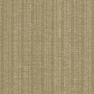 Northern Light Fossil by Kasmir Fabric
