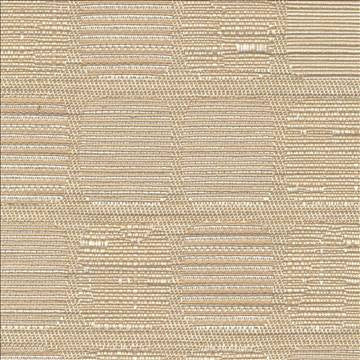 Nuance Latte by Kasmir Fabric 1393 51% Cotton 49% Polyester TAIWAN 25,000 Wyzenbeek Double Rubs H: 13 4/8 inches, V: 16 4/8 inches 54 - 55 - Fabric Carolina - Kasmir