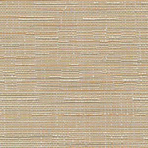 Nuance Texture Dune by Kasmir Fabric