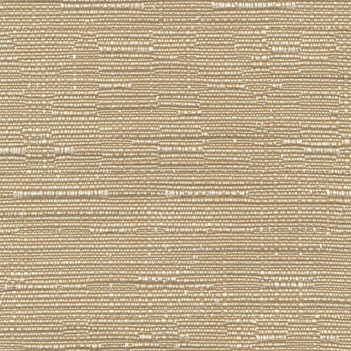 Nuance Texture Latte by Kasmir Fabric 1393 51% Cotton
49% Polyester
 TAIWAN 15,000 Wyzenbeek Double Rubs Horizontal: N/A and Vertical: N/A 54 - Fabric Carolina -