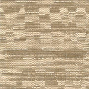 Nuance Texture Latte by Kasmir Fabric 1393 51% Cotton 49% Polyester TAIWAN 15,000 Wyzenbeek Double Rubs H: N/A, V: N/A 54 - 55 - Fabric Carolina - Kasmir